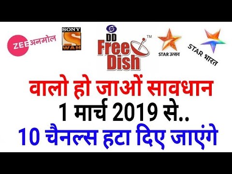 Dd free dish 1 march 2019 holiday